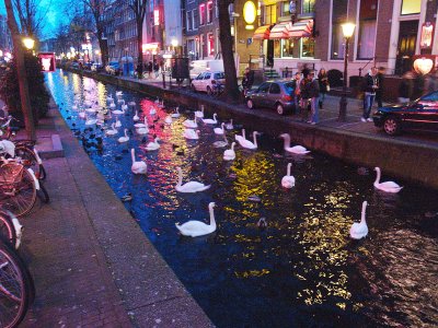 Amsterdamas, DELFI skaitytojo Juozo nuotr.