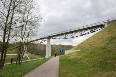 Alytus, Baltosios rožės tiltas