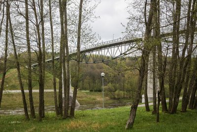 Alytus, Baltosios rožės tiltas