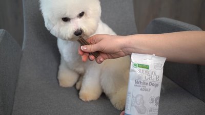  Nature‘s Protection Superior Care White Dogs Hypoallergenic Dental“ funkciniai skanėstai-papildai