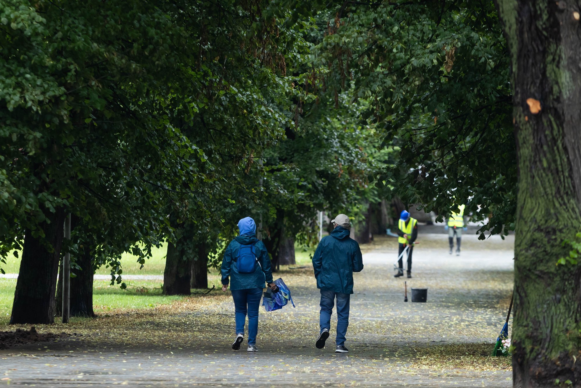 Lithuania Faces Cooler, Wetter, and Windier Weather This Weekend