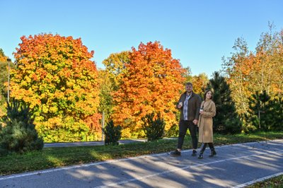 Pora Panevėžyje ėmė kepti šimtalapius ir sulaukė sėkmės