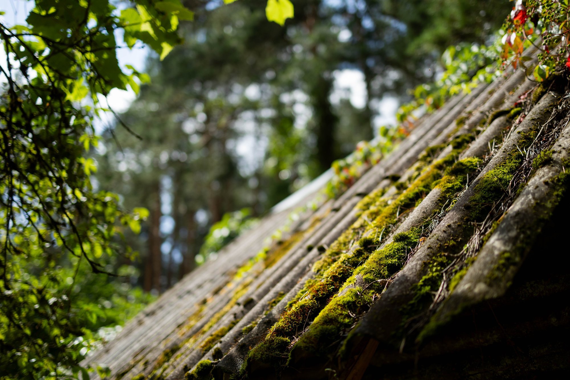 New Regulations to Enhance Worker Protection in Lithuania's Construction Sector