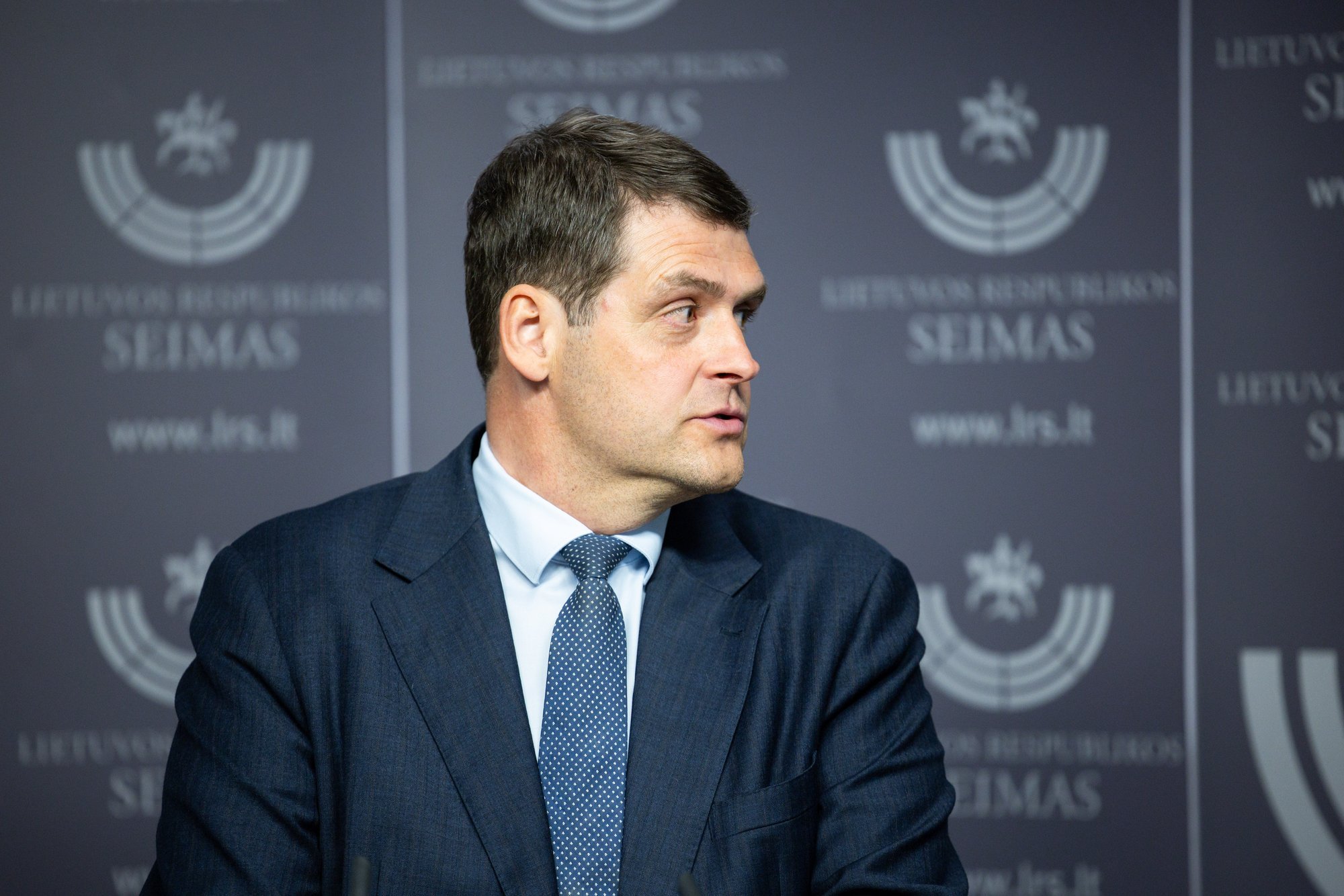 Žemaitaitis: Coalition can and must work for stability and peace