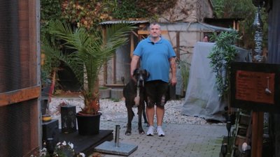 Vokiečių dogas Ramzis ir jo šeimininkas Patrickas