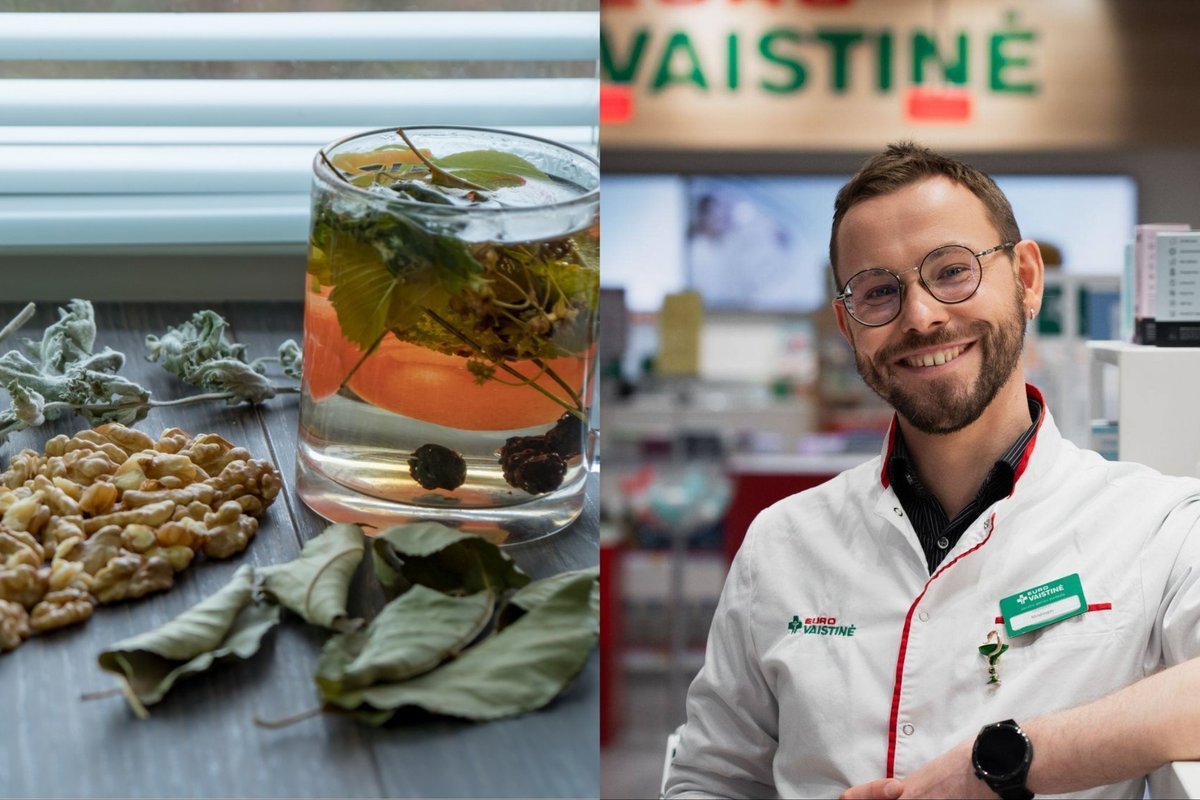 薬剤師 – 春の植物について：今収集できるもの、そしてまったく触れない方がよいもの
