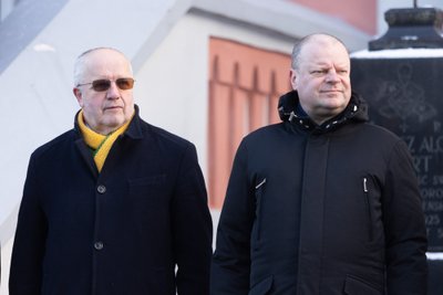 Juozas Olekas, Saulius Skvernelis