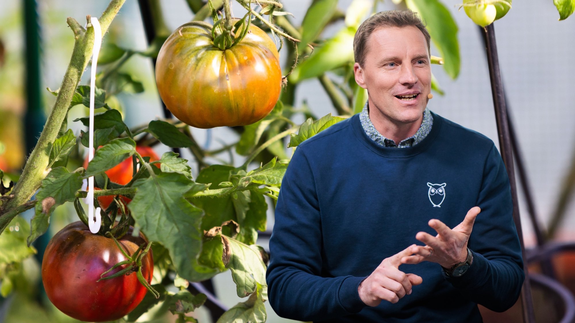 Gardens Now Require Special Attention: Gurskas Identifies Urgent Tasks