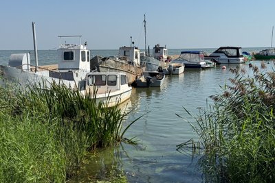 Kuršių nerija