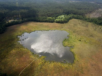  Bakanauskų ežeras