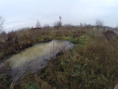 Aplinkosaugininkai nustatė, kad kailinių žvėrelių fermos nesilaiko nustatytų reikalavimų