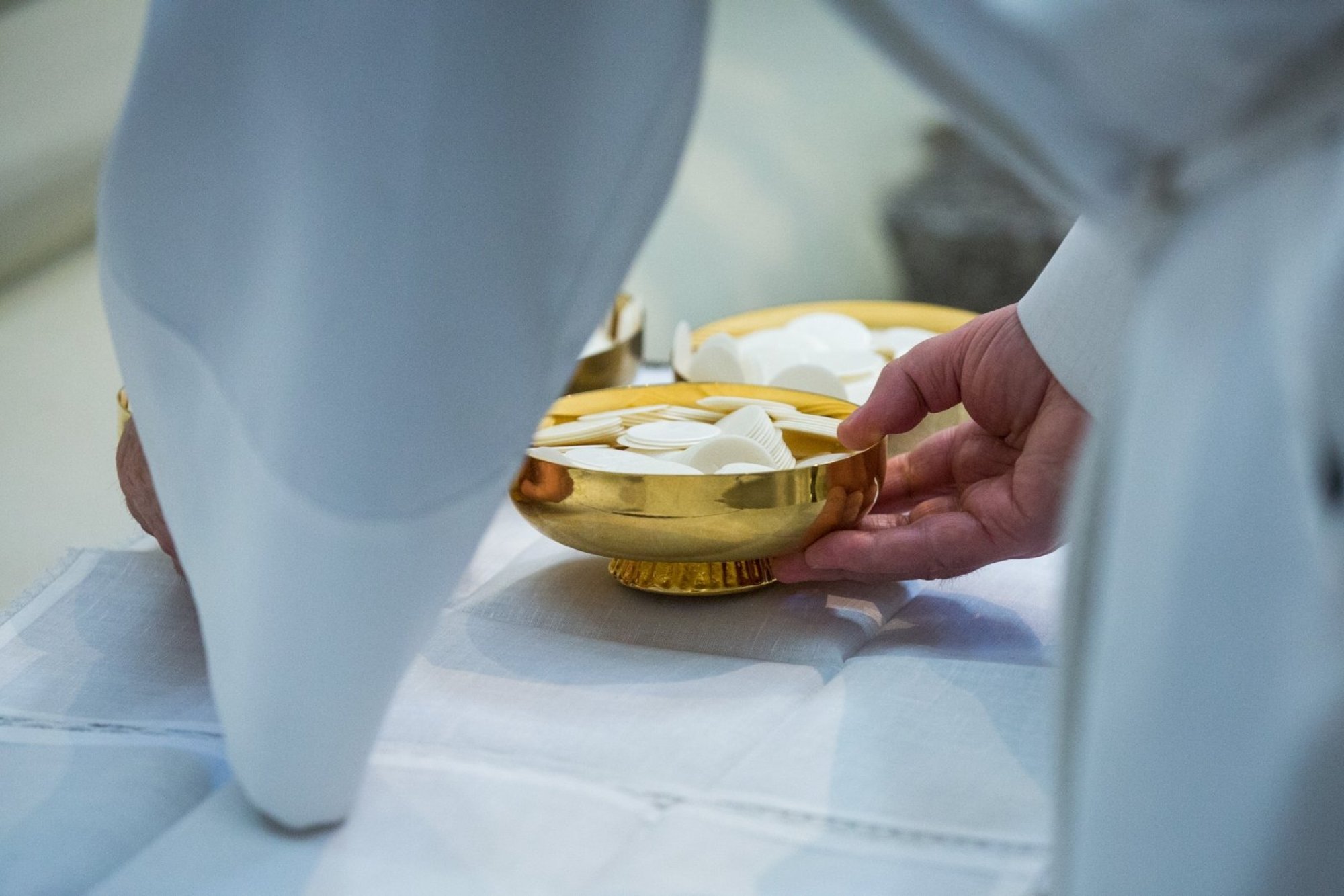 World Day of Mercy Congress Kicks Off in Vilnius, Welcoming Guests from Over 50 Countries