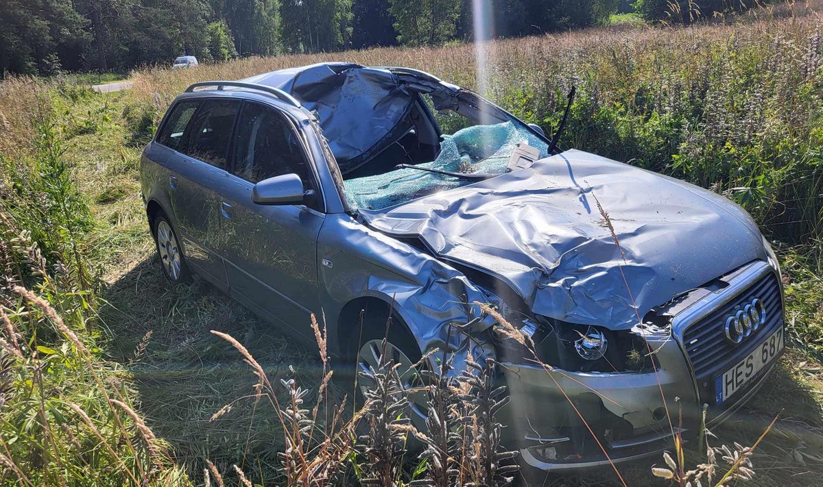 Netoli Pabradės "Audi" susidūrė su briedžiu