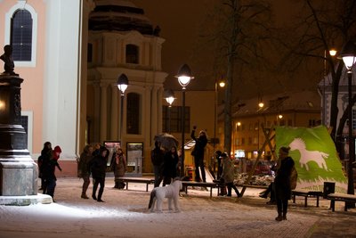 Arklių dienos paminėjimas prie šv. Kotrynos bažnyčios