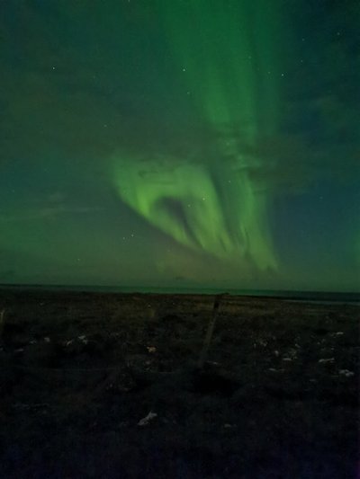 Rasos Petrauskaitės kelionė Islandijoje