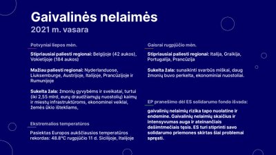 Gaivalinės nelaimės