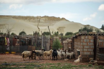 Pietų Afrika, Soweto miestas