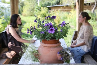 Aromatinių žolynų ekologinis ūkis. Paliūniškis