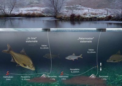 Schema. Žvejyba „feederiu“ žiemą