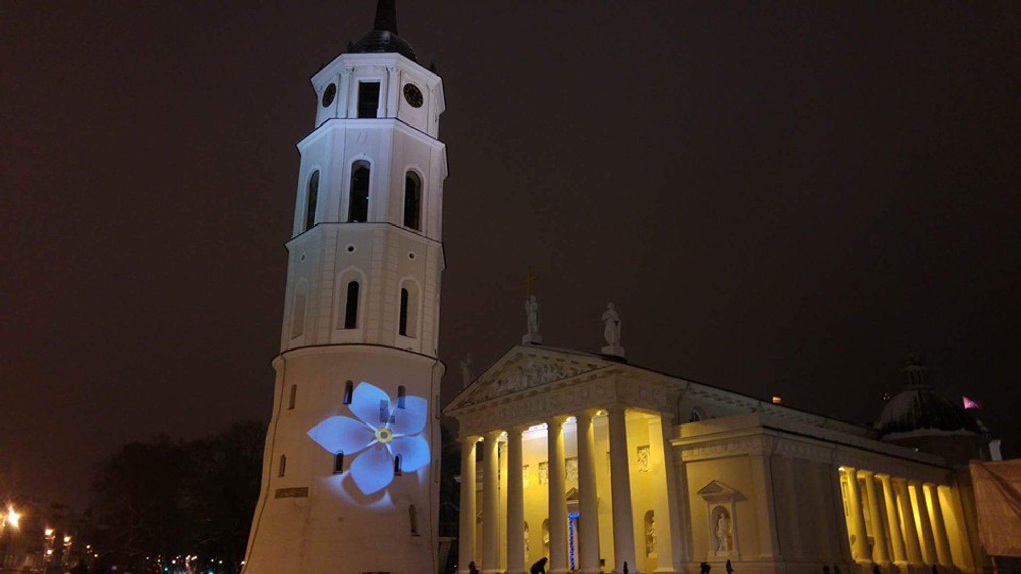 Opinion: Forget-me-not flower a powerful symbol - Delfi EN