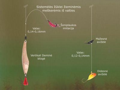 Schema. „Senoji mokykla“ 