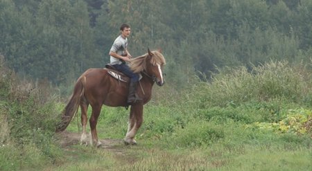 Žirgyno jojikas ruošiasi džigitų triukui