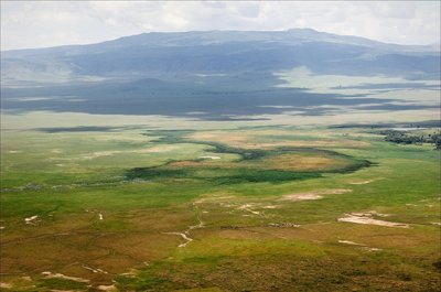 Ngorongoro krateris