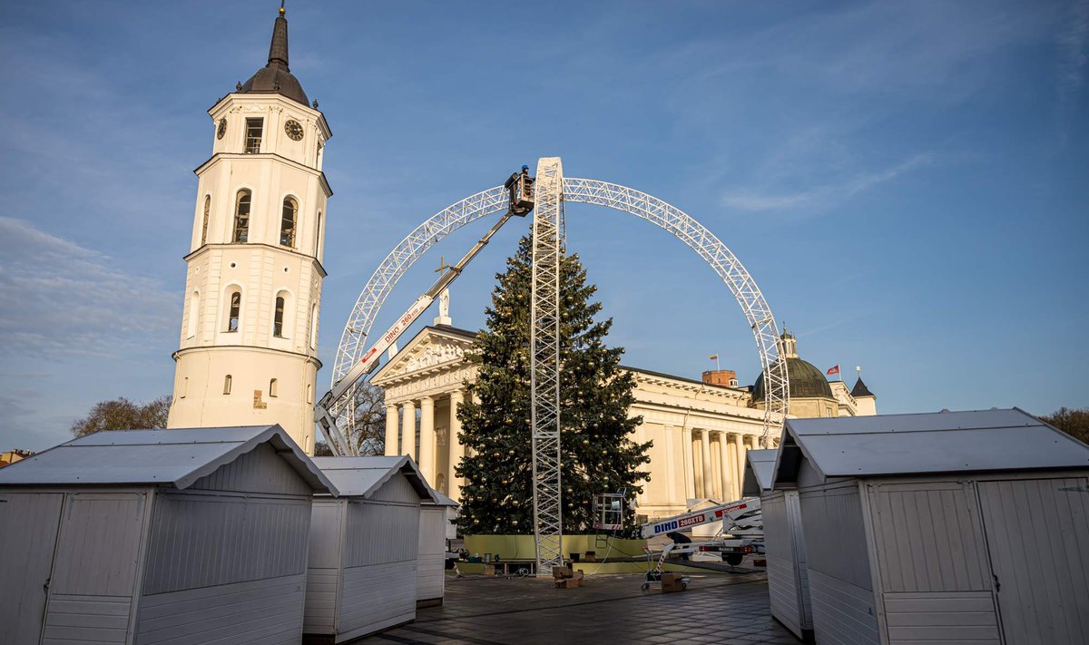 Vilniaus Kalėdų eglė įgijo formą – tapo žaisliuku