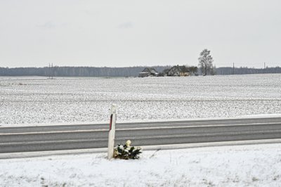 Žūties vietą žymi gėlių krepšelis, tolumoje matyti žuvusiosios tėvų namai