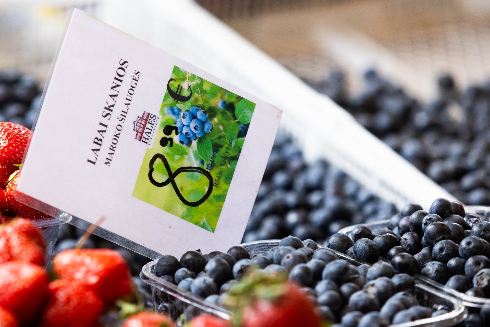 Lithuanian blueberries hit market with high prices