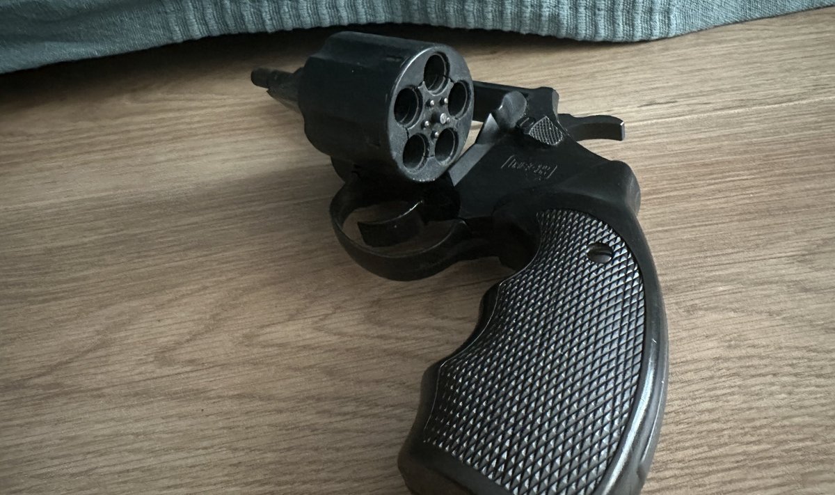 Vilniaus rajone, atliekų rūšiavimo linijoje, rastas dujinis revolveris ...