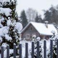 Sodybų užsakymai žiemos šventėms prasidėjo dar vasarą: ruošiamasi švęsti taupiai