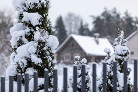 Sodybų užsakymai žiemos šventėms prasidėjo dar vasarą: ruošiamasi švęsti taupiai