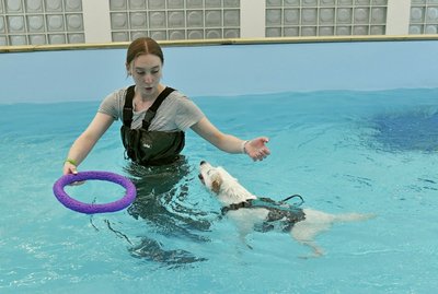 Vilniuje atidarytas didžiausias šalyje gyvūnų gydymo ir sveikatinimo kompleksas