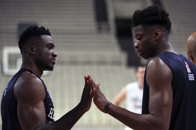 Thanasis Antetokounmpo, Kostas Antetokounmpo