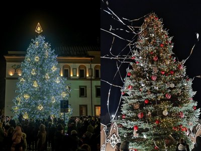 Varėnos (kairėje) ir Pasvalio eglės