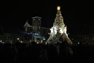 Kaune įžiebta auksu tviskanti Šv.Kalėdų eglė