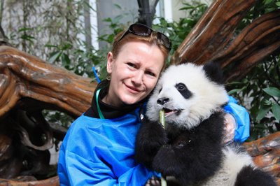 Puiki terapija - į glėbį pasiimti minkštutę pandą / Eglės Aukštakalnytės-Hansen nuotraukos