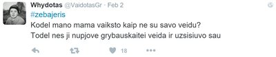 V.Grincevičiaus įrašas „Twitter“ socialiniame tinkle