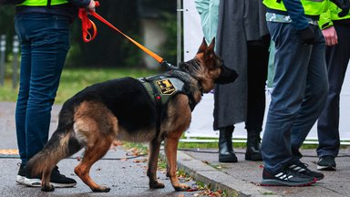 Ajana – vienintelė Lietuvoje, pasiekusi šį rekordą: tokį šunį paruošti kainuoja 25 tūkst. eurų
