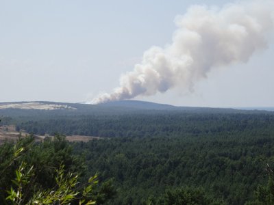 Gaisras Kuršių nerijoje