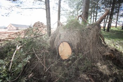 Statybos Okainių kaime