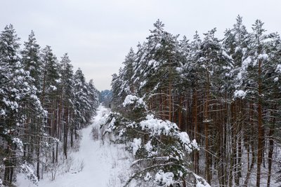 Miškas