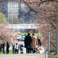 Apie mokesčių reformą rėžė be užuolankų: pasekmės bus tik dvi – didesnės kainos ir mažesni atlyginimai