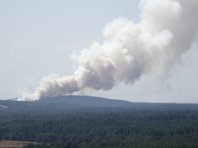 Gaisras Kuršių nerijoje