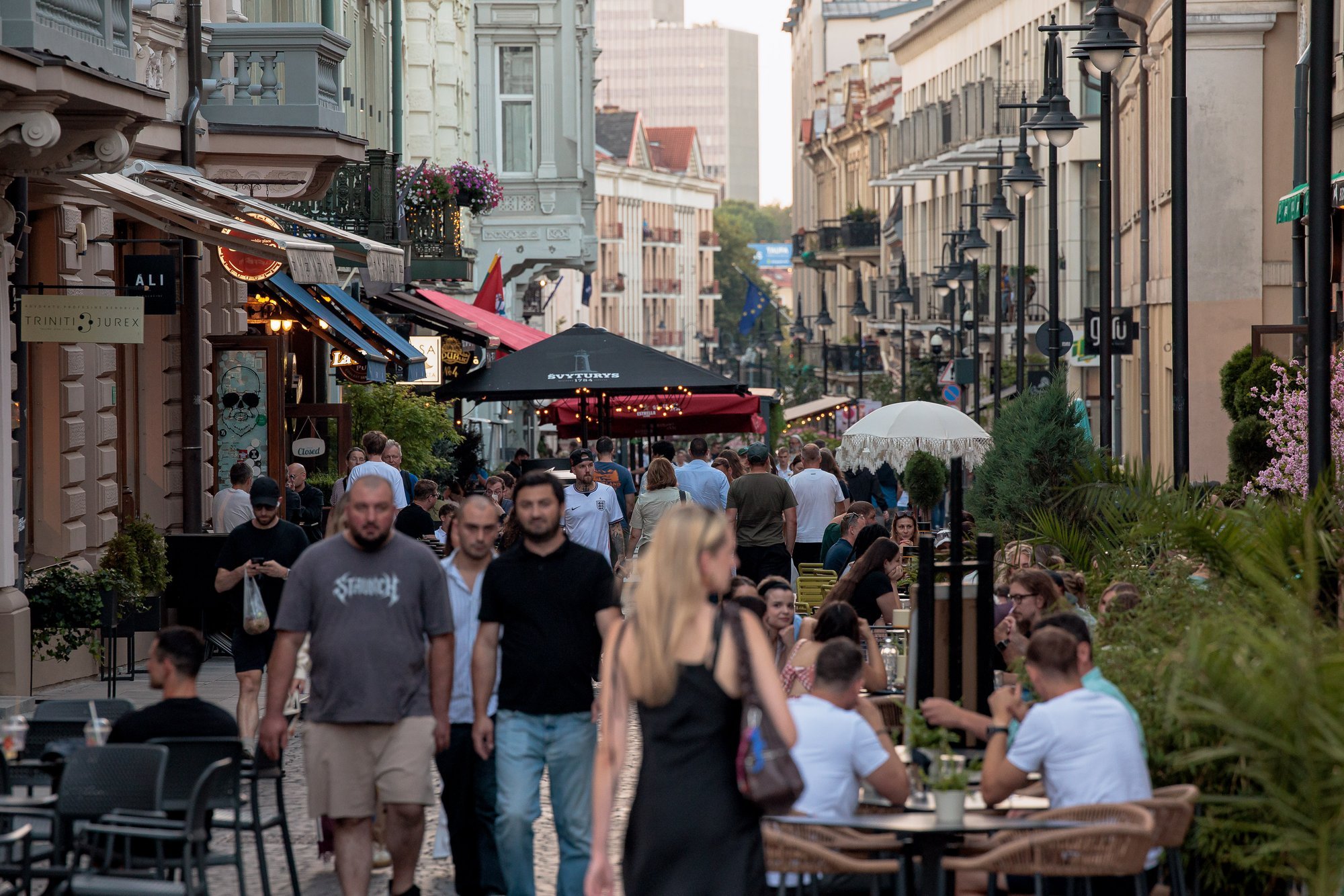 Future Beyond the Capital: How Lithuania Aims to Attract Businesses to Its Regions