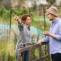 Soduose konfliktą įžiebia ir lojantis šuo, ir pusnuogė kaimynė – susipykę kartais net persikrausto
