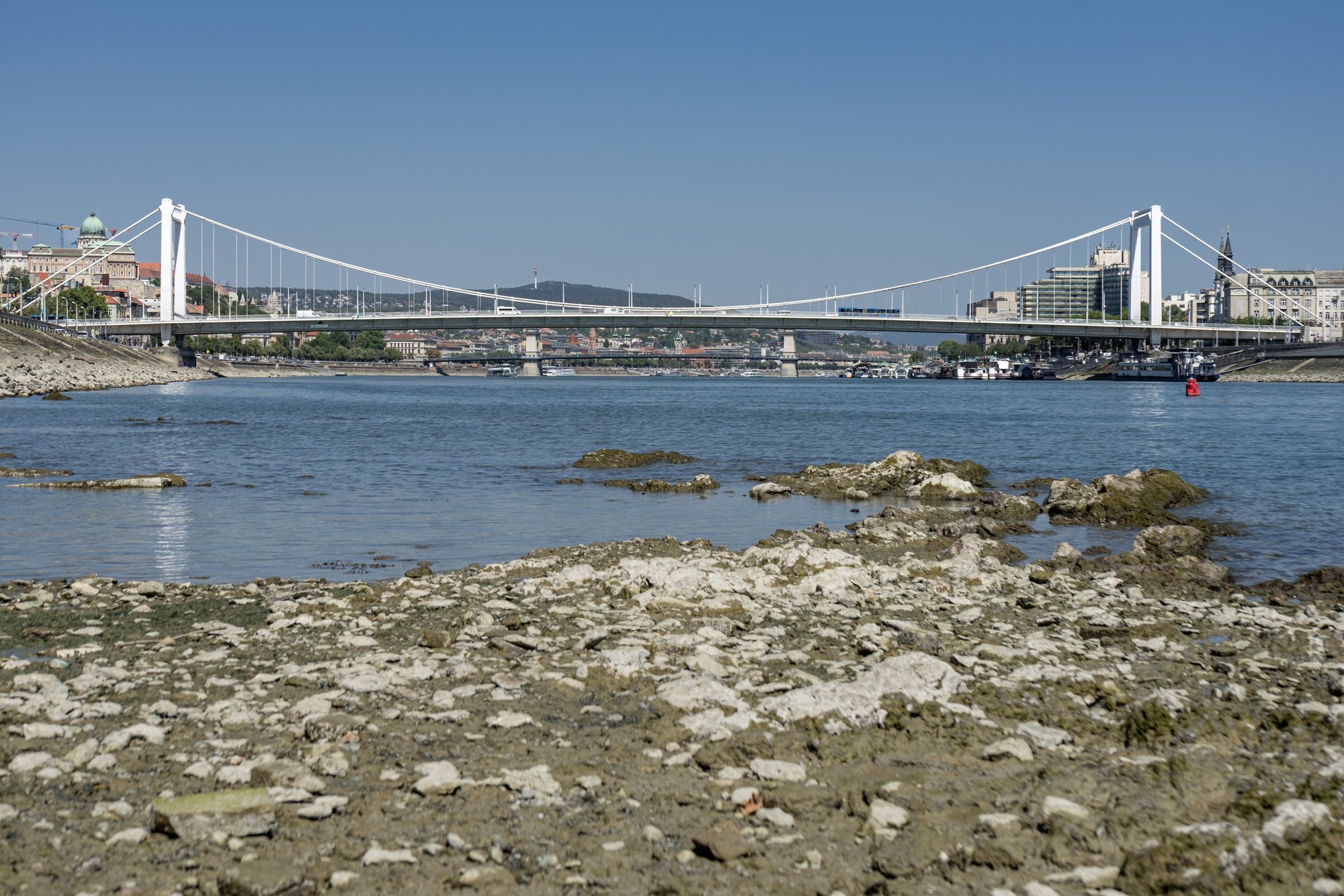 Drought in Europe reaches dangerous levels: Another energy crisis looms