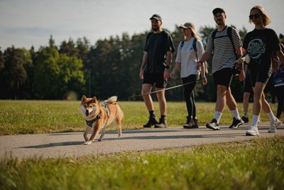 Ėjimas, kuris keičia