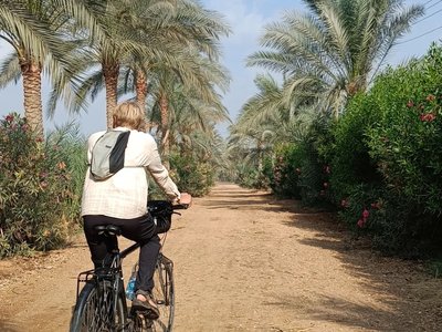 Lukas Paltanavičius, „Cycle to Farms“